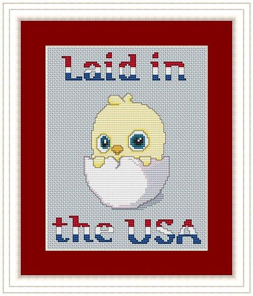 (image for) Laid in the USA